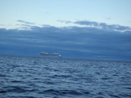 第二龍勢丸 釣果