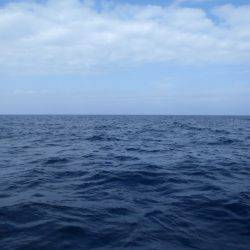 第二龍勢丸 釣果