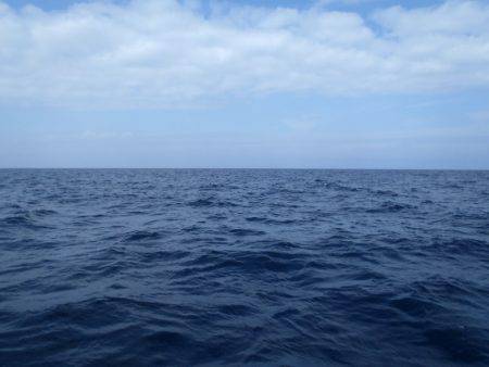 第二龍勢丸 釣果