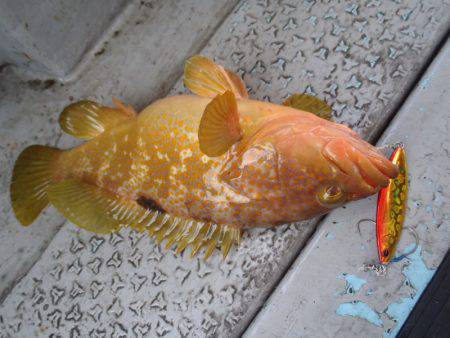 第二龍勢丸 釣果