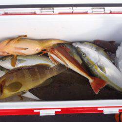 第二龍勢丸 釣果