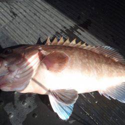 第二龍勢丸 釣果