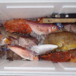 第二龍勢丸 釣果