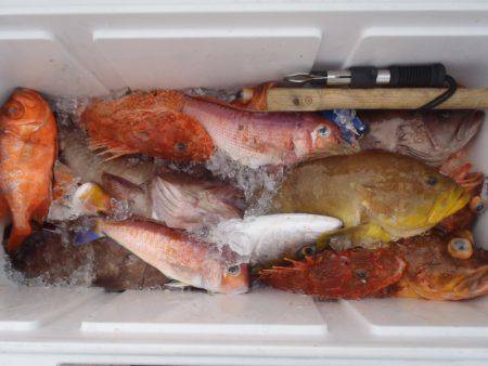 第二龍勢丸 釣果