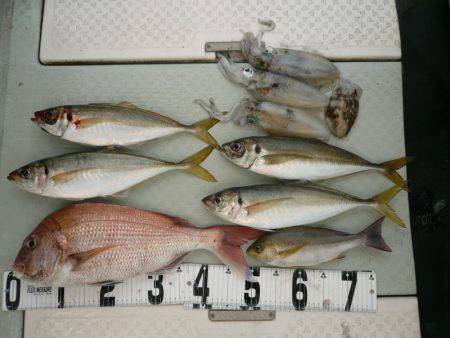 オーシャンスター(Ocean Star) …