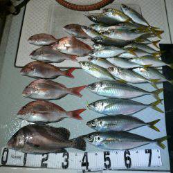 オーシャンスター(Ocean Star) 釣果