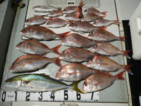 オーシャンスター(Ocean Star) …