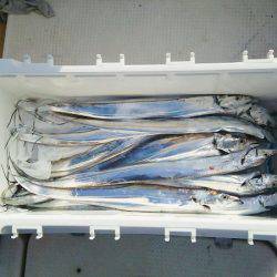 マリンガイド福丸 釣果