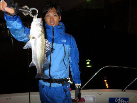 Chase（チェイス） 釣果