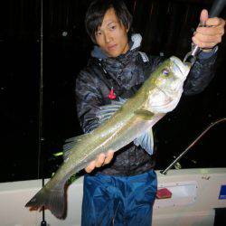 Chase（チェイス） 釣果