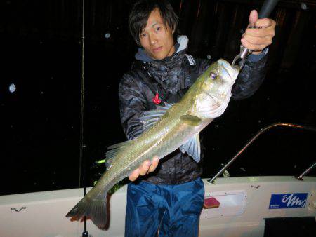 Chase（チェイス） 釣果