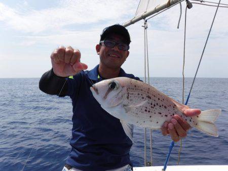 ＫＹＯＥＩⅢ 釣果