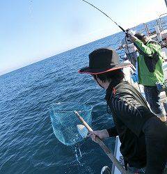 第二清洋丸 釣果