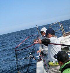 第二清洋丸 釣果