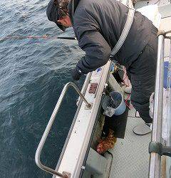 第二清洋丸 釣果