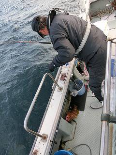 第二清洋丸 釣果