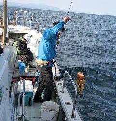 第二清洋丸 釣果