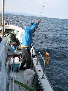 第二清洋丸 釣果