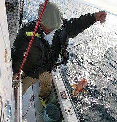 第二清洋丸 釣果