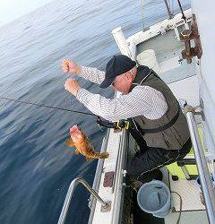 第二清洋丸 釣果