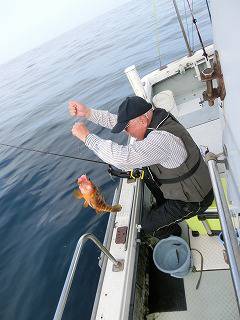 第二清洋丸 釣果