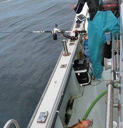 第二清洋丸 釣果