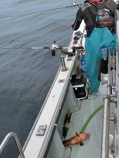 第二清洋丸 釣果