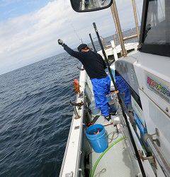 第二清洋丸 釣果