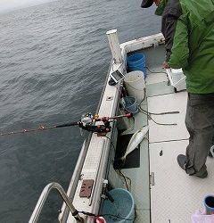 第二清洋丸 釣果