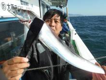 ヤザワ渡船 釣果