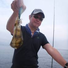 ＪＤＩ　Ｒａｃｉｎｇ　シールズマリンレジャー 釣果