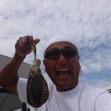 JDI Racing シールズマリンレジャー 釣果