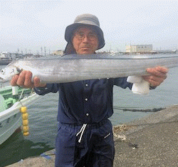 橋安丸 釣果