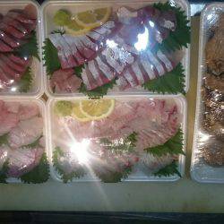 リトルワン 釣果