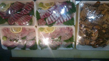 リトルワン 釣果