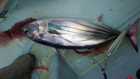 香織丸 釣果