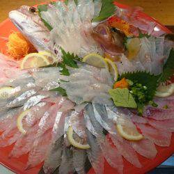 リトルワン 釣果