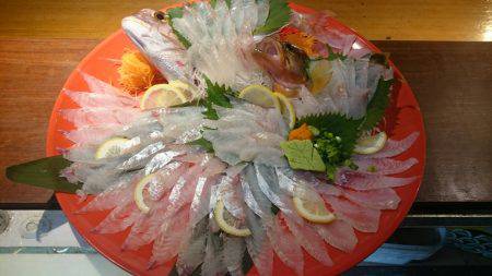 リトルワン 釣果