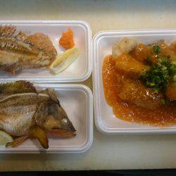 リトルワン 釣果