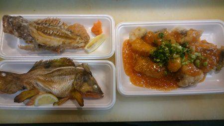 リトルワン 釣果