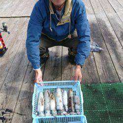 シードリーム 釣果