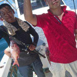 リトルワン 釣果