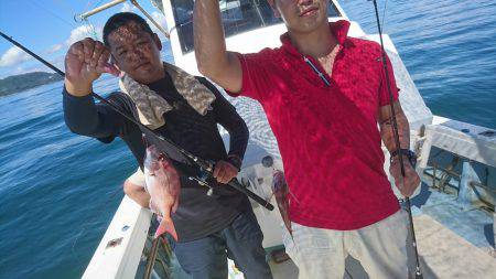 リトルワン 釣果