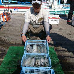 シードリーム 釣果