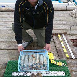 シードリーム 釣果