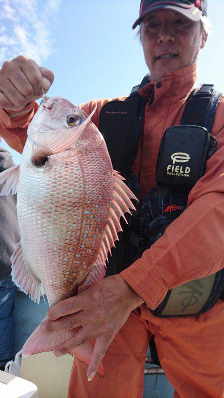 リトルワン 釣果