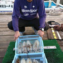 シードリーム 釣果