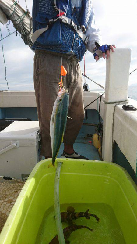 リトルワン 釣果