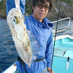 シードリーム 釣果