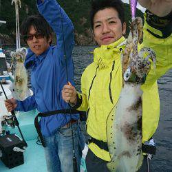 シードリーム 釣果